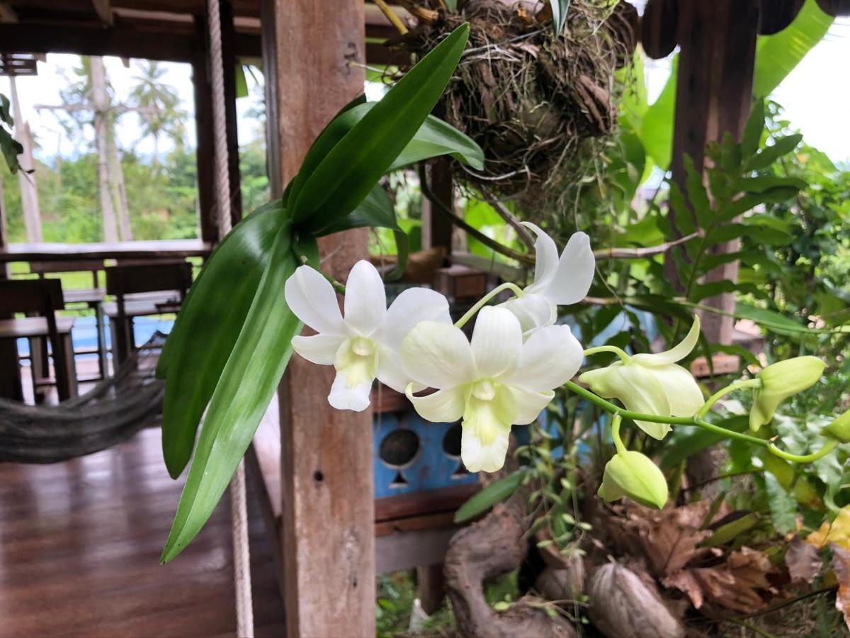 Villa Diva Star Ko Yao Noi Bagian luar foto